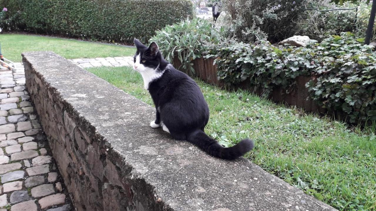 Le Petit Moussis Villa Stavelot Dış mekan fotoğraf